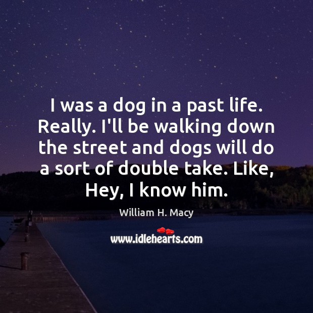 I was a dog in a past life. Really. I’ll be walking William H. Macy Picture Quote