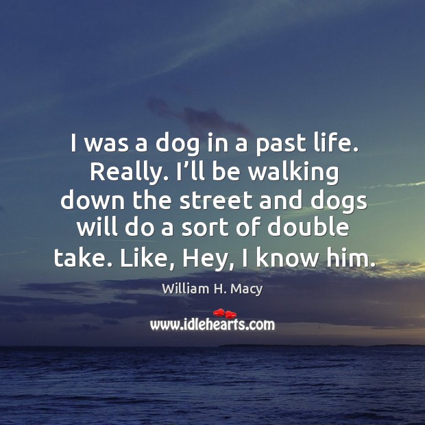 I was a dog in a past life. Really. I’ll be walking down the street and dogs will do a sort William H. Macy Picture Quote