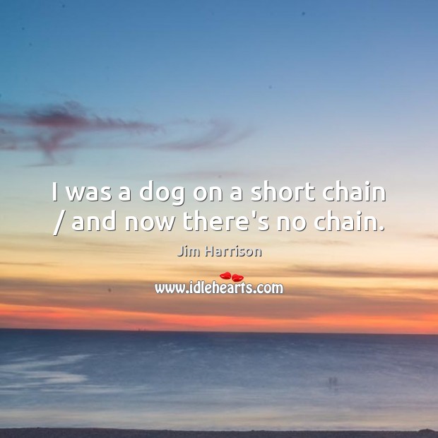 I was a dog on a short chain / and now there’s no chain. Image
