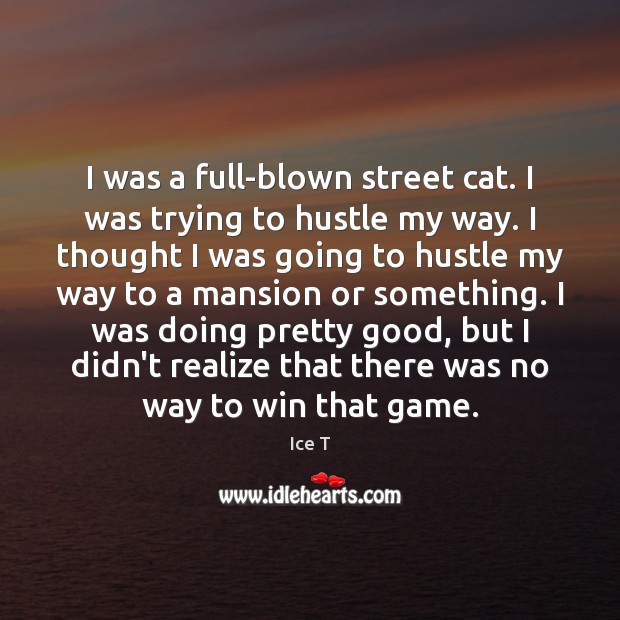 I was a full-blown street cat. I was trying to hustle my Ice T Picture Quote