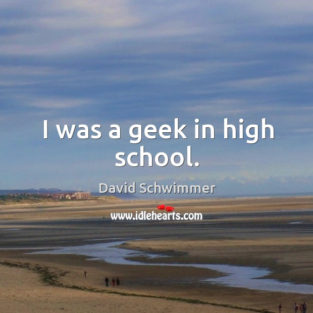 I was a geek in high school. David Schwimmer Picture Quote
