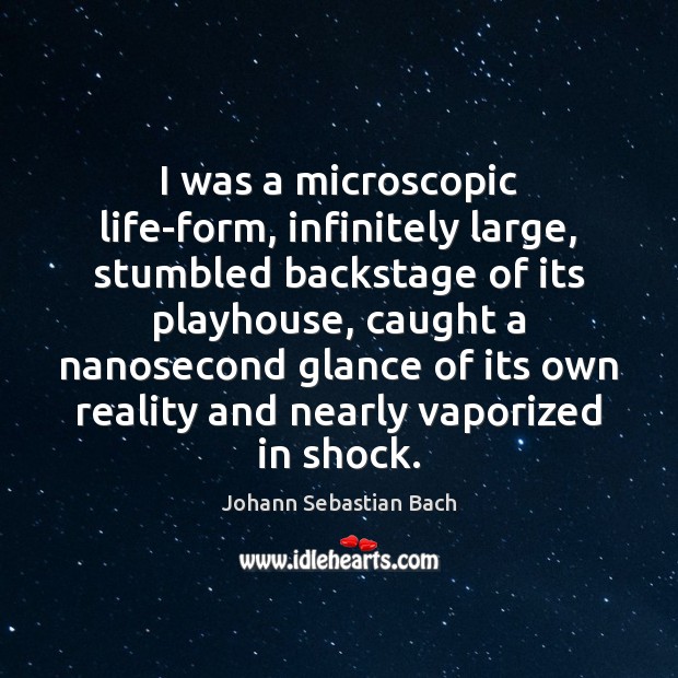 I was a microscopic life-form, infinitely large, stumbled backstage of its playhouse, Image