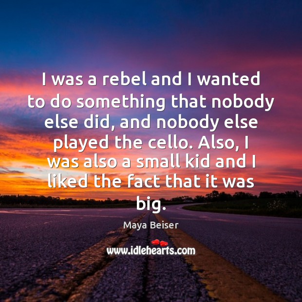 I was a rebel and I wanted to do something that nobody Maya Beiser Picture Quote