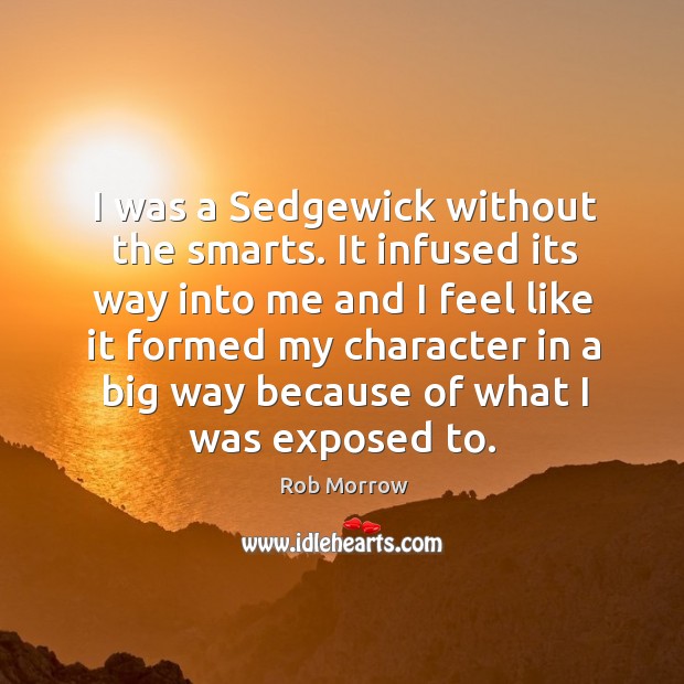 I was a sedgewick without the smarts. It infused its way into me and I feel like it formed my character Rob Morrow Picture Quote