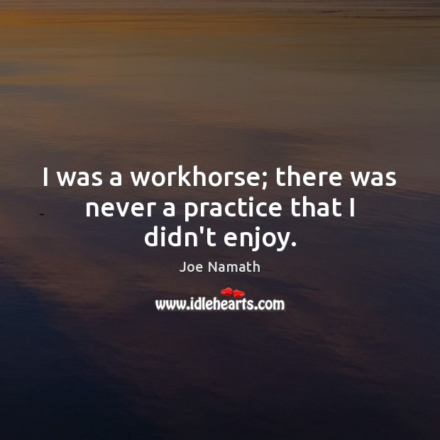 I was a workhorse; there was never a practice that I didn’t enjoy. Joe Namath Picture Quote