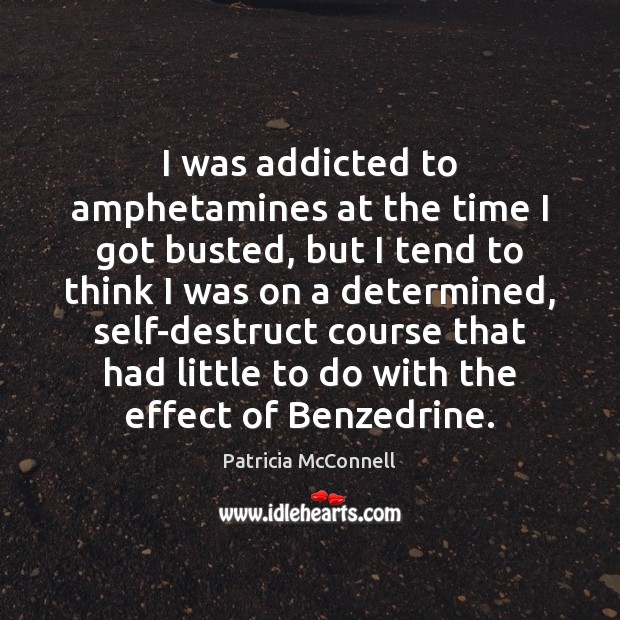 I was addicted to amphetamines at the time I got busted, but Patricia McConnell Picture Quote