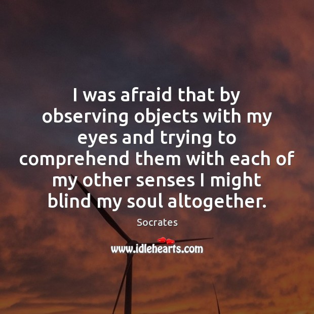 I was afraid that by observing objects with my eyes and trying Socrates Picture Quote