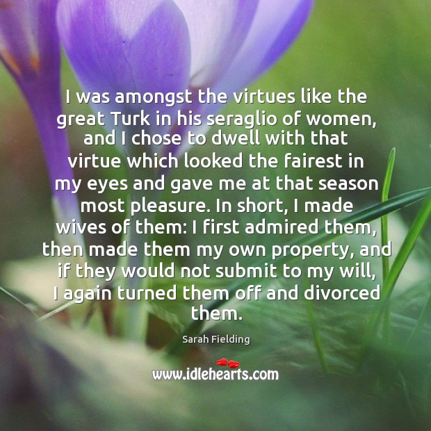 I was amongst the virtues like the great Turk in his seraglio Sarah Fielding Picture Quote