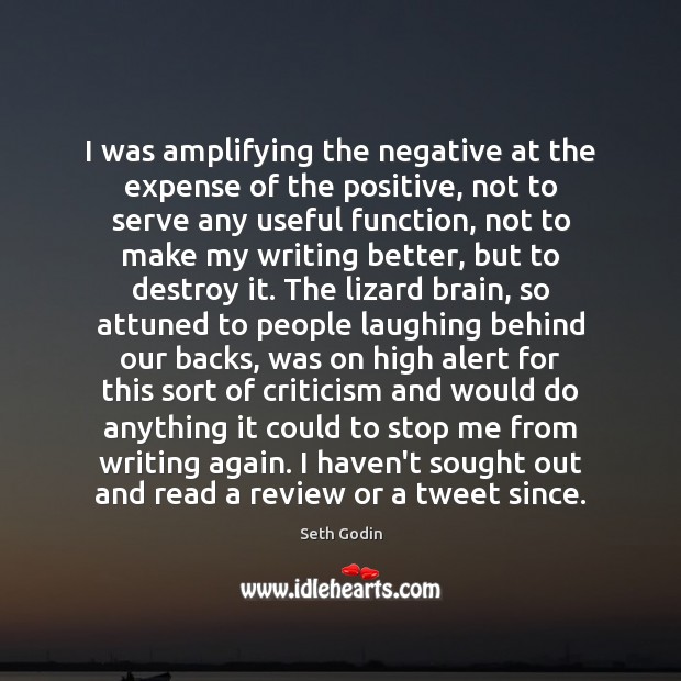 I was amplifying the negative at the expense of the positive, not Seth Godin Picture Quote