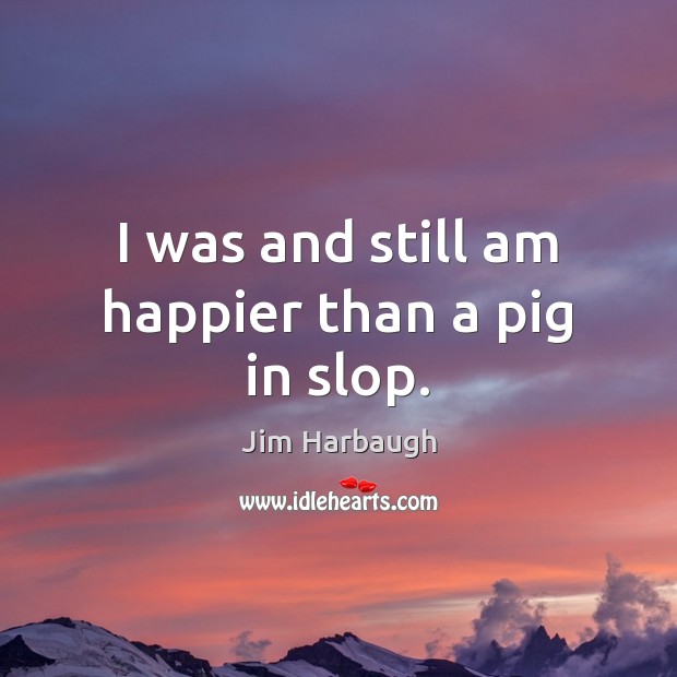 I was and still am happier than a pig in slop. Jim Harbaugh Picture Quote