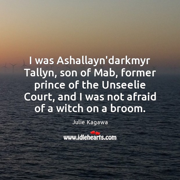 I was Ashallayn’darkmyr Tallyn, son of Mab, former prince of the Unseelie Julie Kagawa Picture Quote