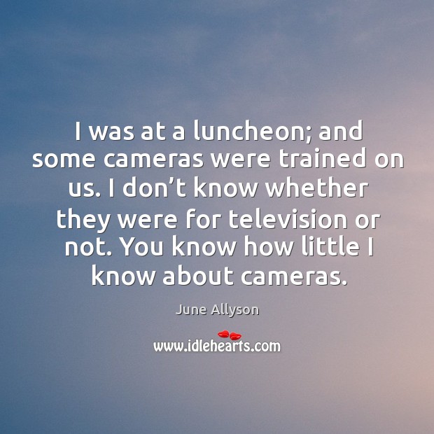 I was at a luncheon; and some cameras were trained on us. Image