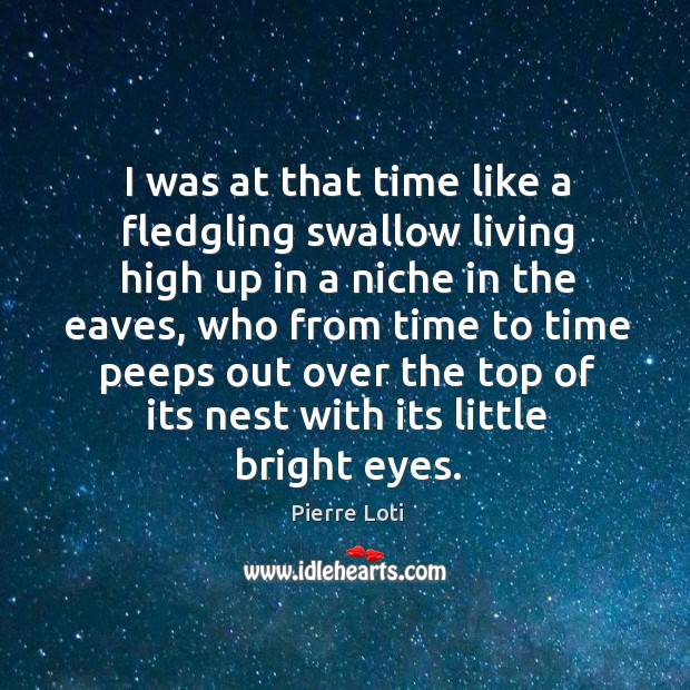 I was at that time like a fledgling swallow living high up in a niche in the eaves Pierre Loti Picture Quote