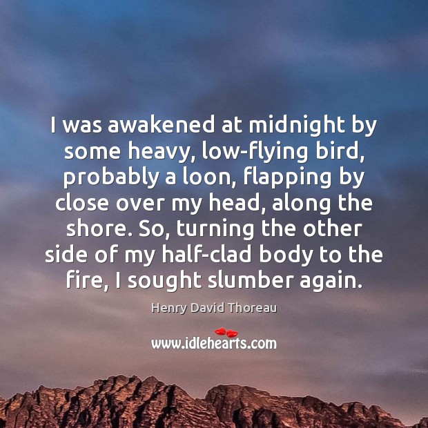 I was awakened at midnight by some heavy, low-flying bird, probably a Henry David Thoreau Picture Quote