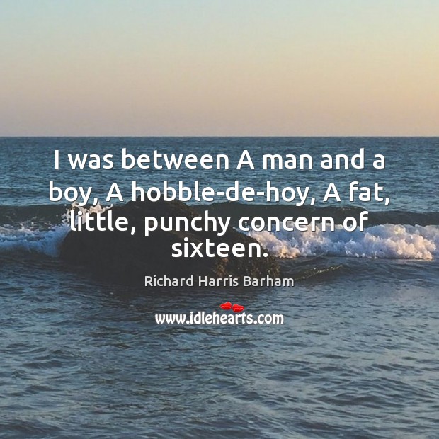I was between A man and a boy, A hobble-de-hoy, A fat, little, punchy concern of sixteen. Richard Harris Barham Picture Quote
