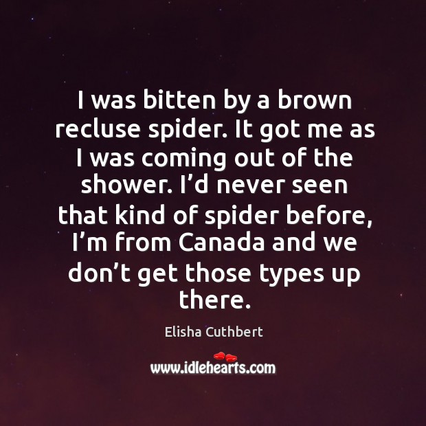 I was bitten by a brown recluse spider. It got me as I was coming out of the shower. Elisha Cuthbert Picture Quote