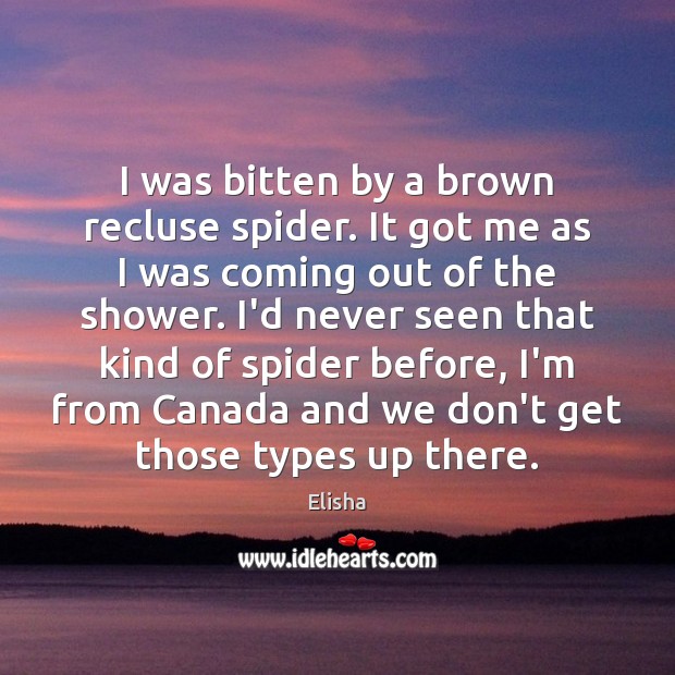 I was bitten by a brown recluse spider. It got me as Elisha Picture Quote