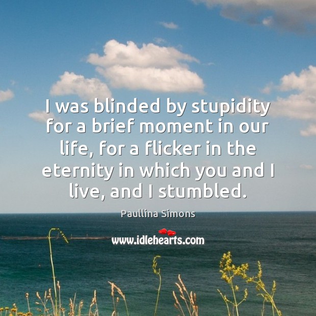 I was blinded by stupidity for a brief moment in our life, Paullina Simons Picture Quote