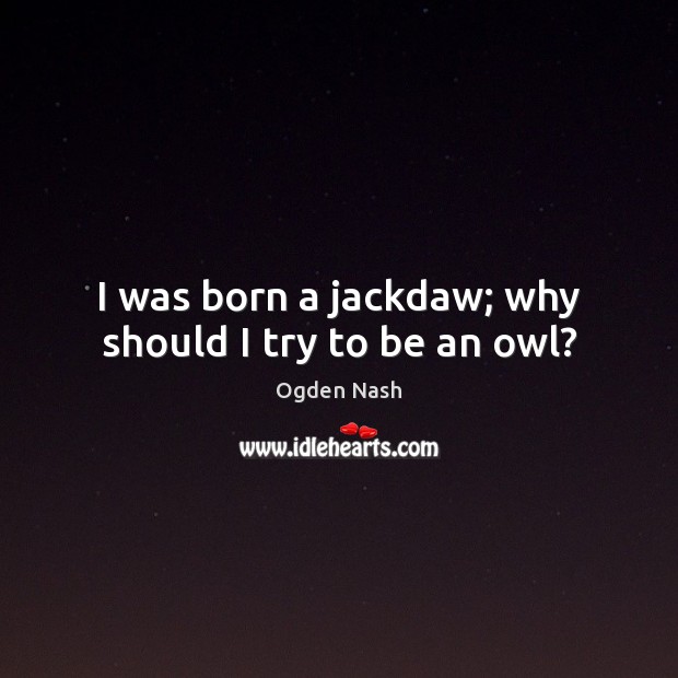 I was born a jackdaw; why should I try to be an owl? Ogden Nash Picture Quote