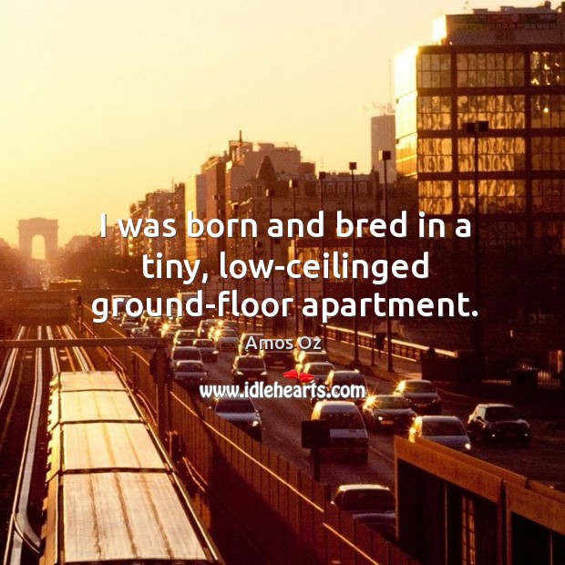 I was born and bred in a tiny, low-ceilinged ground-floor apartment. Amos Oz Picture Quote