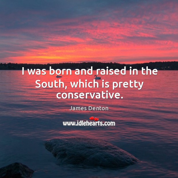 I was born and raised in the south, which is pretty conservative. James Denton Picture Quote