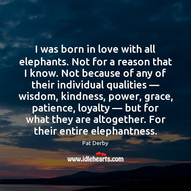 I was born in love with all elephants. Not for a reason Pat Derby Picture Quote