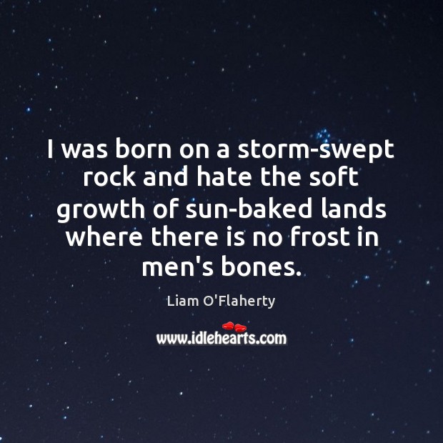 I was born on a storm-swept rock and hate the soft growth Image