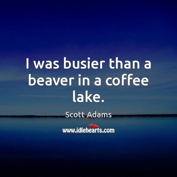 I was busier than a beaver in a coffee lake. Scott Adams Picture Quote