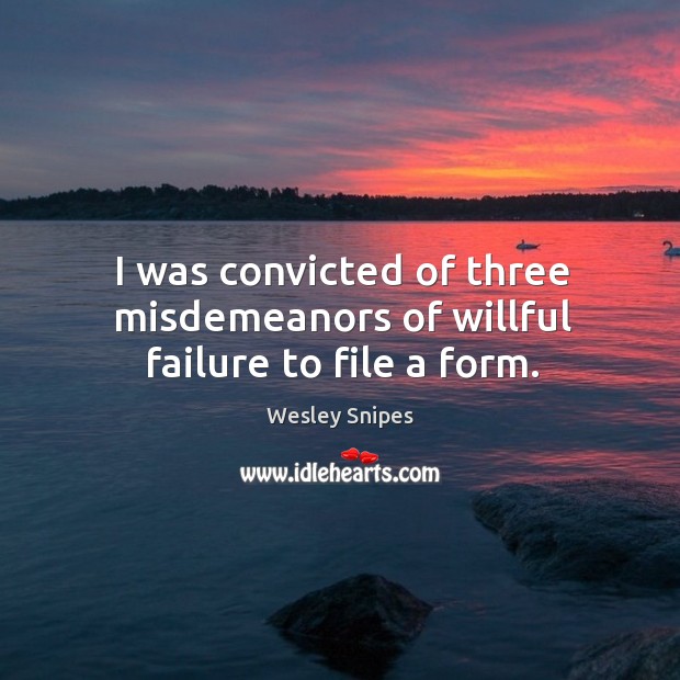 I was convicted of three misdemeanors of willful failure to file a form. Wesley Snipes Picture Quote
