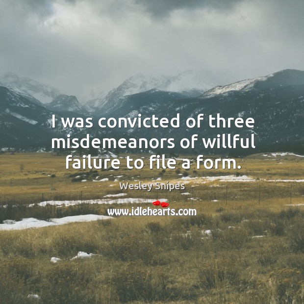 I was convicted of three misdemeanors of willful failure to file a form. Wesley Snipes Picture Quote