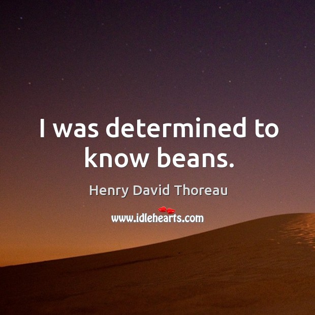 I was determined to know beans. Henry David Thoreau Picture Quote