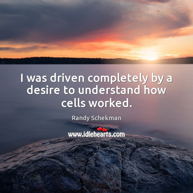 I was driven completely by a desire to understand how cells worked. Randy Schekman Picture Quote