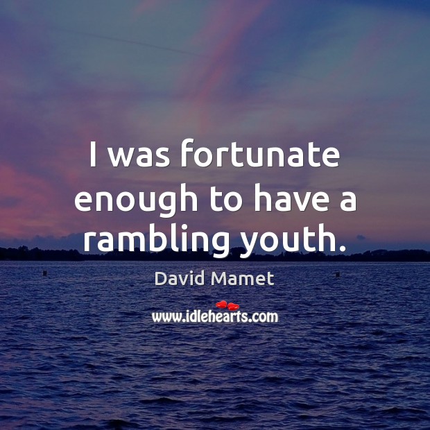 I was fortunate enough to have a rambling youth. David Mamet Picture Quote