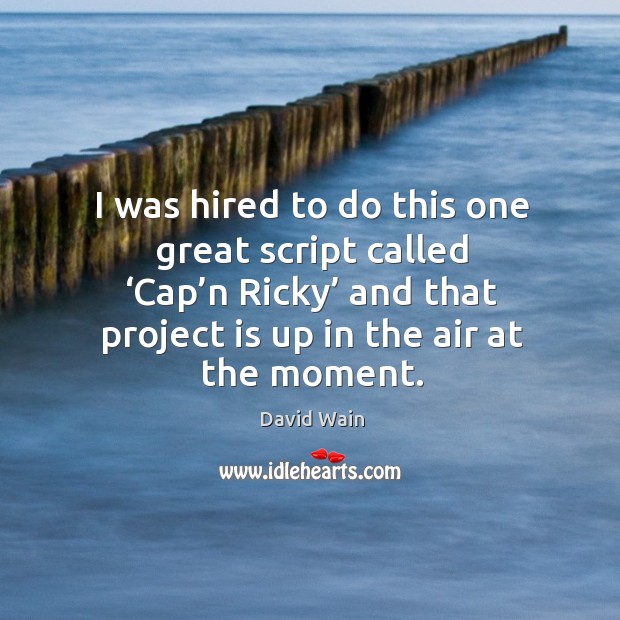 I was hired to do this one great script called ‘cap’n ricky’ and that David Wain Picture Quote