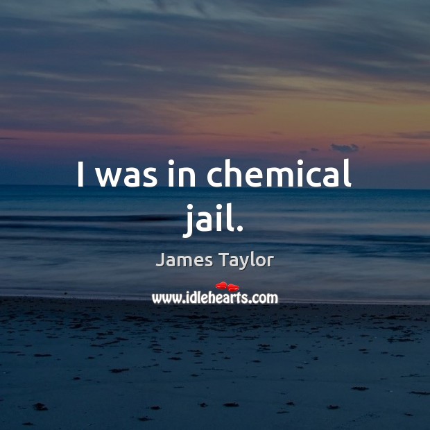 I was in chemical jail. James Taylor Picture Quote