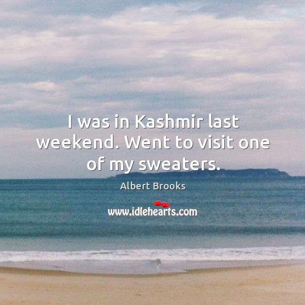 I was in kashmir last weekend. Went to visit one of my sweaters. Albert Brooks Picture Quote