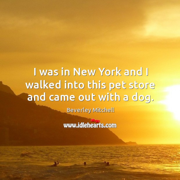 I was in new york and I walked into this pet store and came out with a dog. Beverley Mitchell Picture Quote