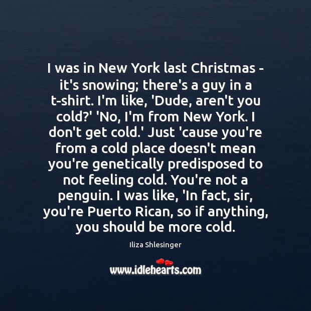 I was in New York last Christmas – it’s snowing; there’s a Iliza Shlesinger Picture Quote