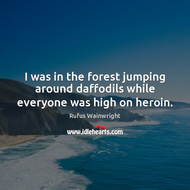 I was in the forest jumping around daffodils while everyone was high on heroin. Rufus Wainwright Picture Quote