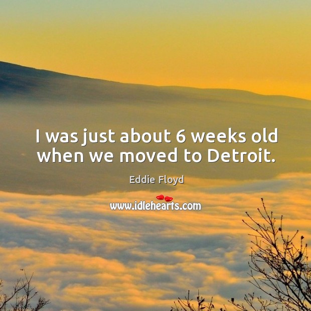 I was just about 6 weeks old when we moved to detroit. Eddie Floyd Picture Quote