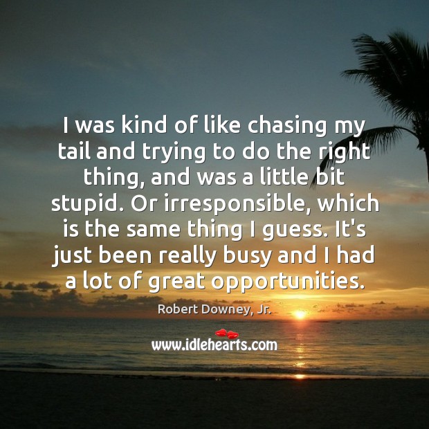 I was kind of like chasing my tail and trying to do Robert Downey, Jr. Picture Quote