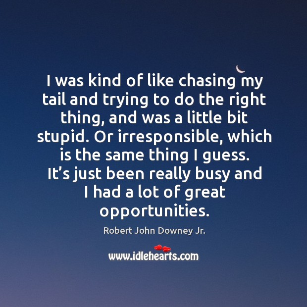 I was kind of like chasing my tail and trying to do the right thing, and was a little bit stupid. Robert John Downey Jr. Picture Quote