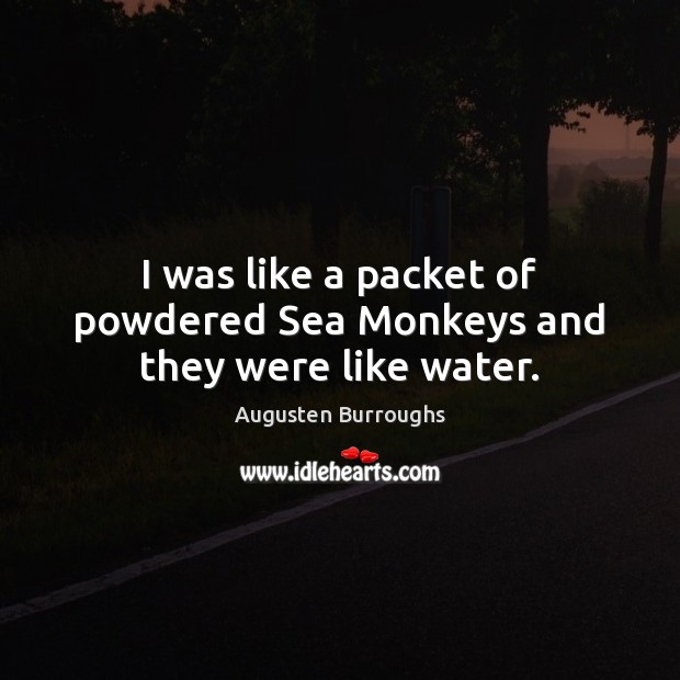 I was like a packet of powdered Sea Monkeys and they were like water. Augusten Burroughs Picture Quote