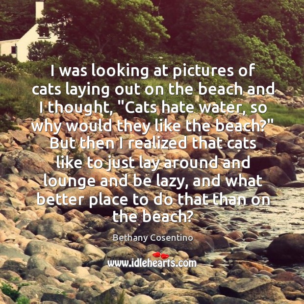 I was looking at pictures of cats laying out on the beach Bethany Cosentino Picture Quote