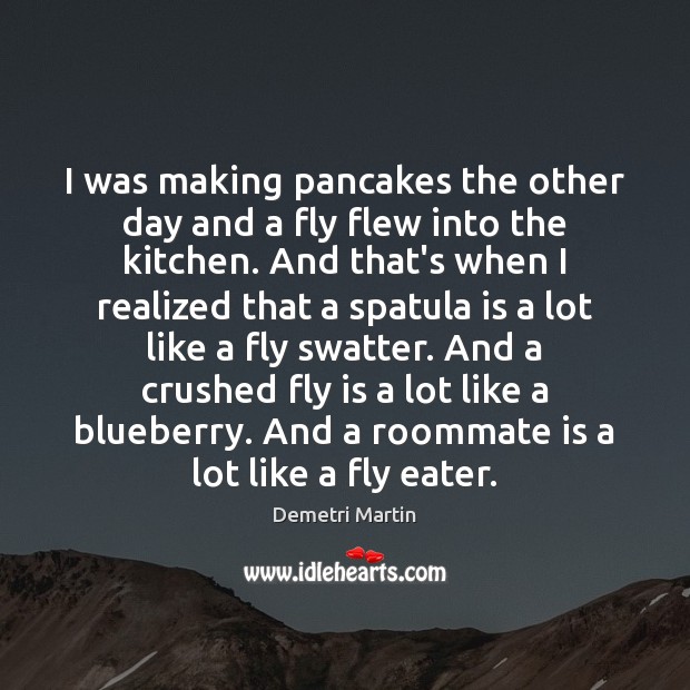 I was making pancakes the other day and a fly flew into Demetri Martin Picture Quote
