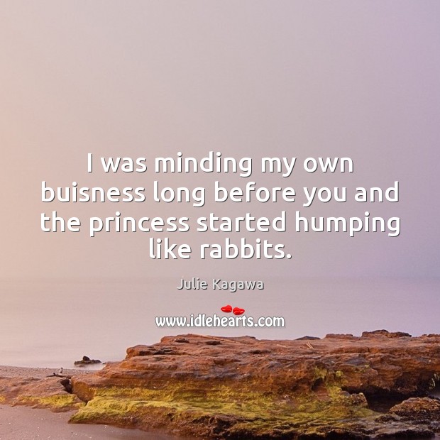 I was minding my own buisness long before you and the princess Julie Kagawa Picture Quote