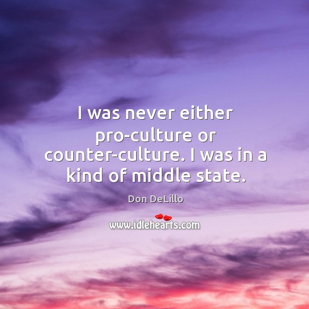 I was never either pro-culture or counter-culture. I was in a kind of middle state. Don DeLillo Picture Quote