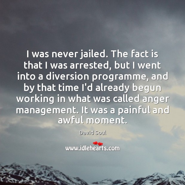 I was never jailed. The fact is that I was arrested, but David Soul Picture Quote