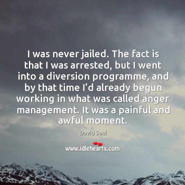 I was never jailed. The fact is that I was arrested David Soul Picture Quote
