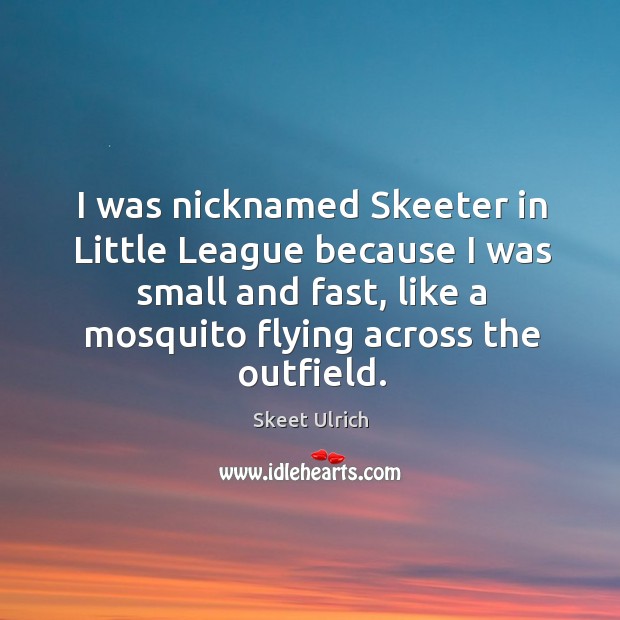 I was nicknamed skeeter in little league because I was small and fast, like a mosquito flying across the outfield. Skeet Ulrich Picture Quote
